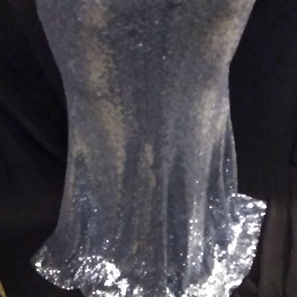 Sequined Maxi Gown - Picture 11 of 16